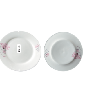 PLATO DE PORCELANA No.10 C/DISENO JO-479 35/1